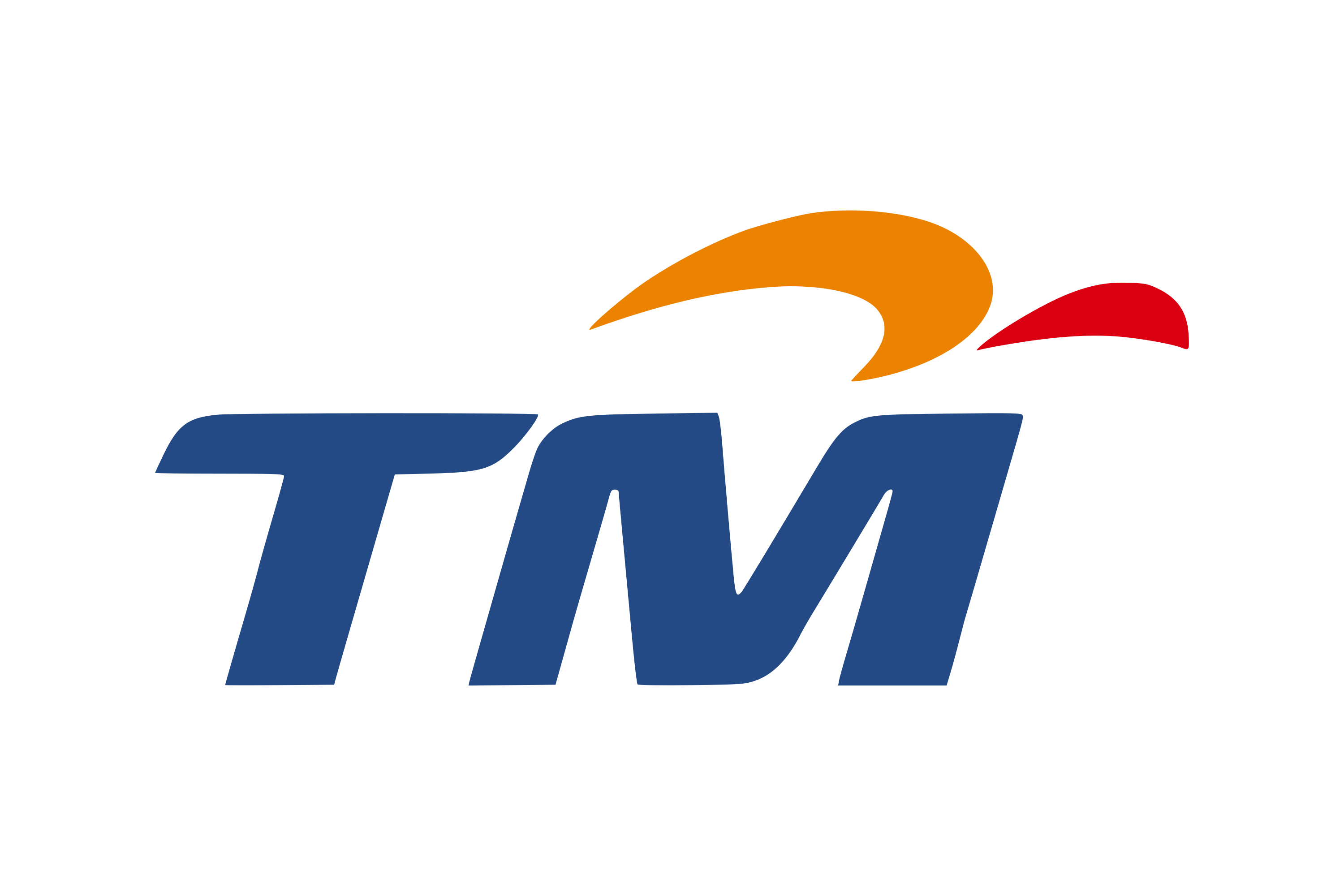 TM Logo